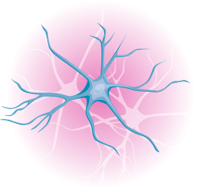 Neurology Icon