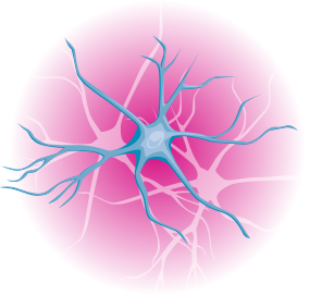 Neurology Icon