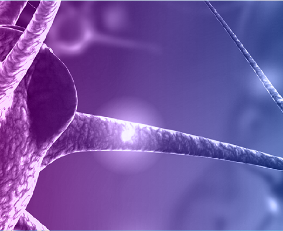 Eisai Medical Information Neurology Home Mobile Banner