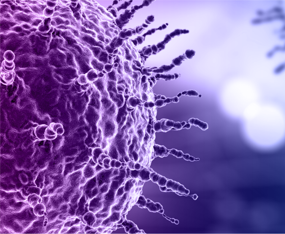 Eisai Medical Information Oncology Home Mobile Banner